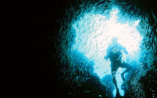 Diving the Blue Holes of Abaco