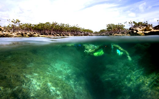 Snorkeling in the Emerald Green Waters off of Andros Island