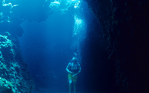 Cat Island Scuba Diving - Discover the Dry Heads Reef and Excellent Ship Wrecks