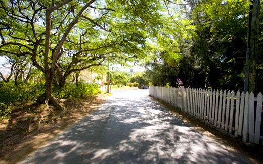 Street in Harbour Island