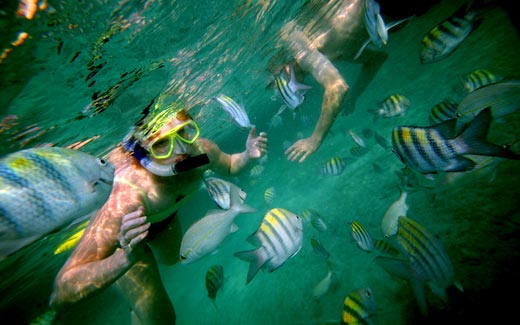 Snorkeling on Thunderball Grotto - The Out Islands of The Bahamas