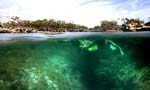 Snorkeling the Crack of South Andros Island, The Bahamas