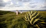 nature walks in Eleuthera, The Bahamas