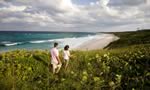 Surfer's beach in Eleuthera