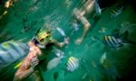 Snorkeling The Exumas at Staniel Cay