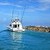 Marina Anglers from all over the world have discovered the marine wilderness of San Salvador